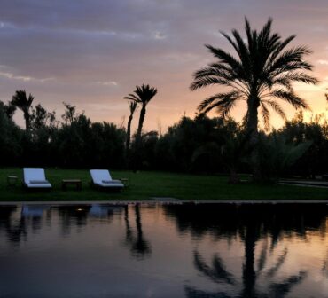 Luxurious oasis landscape in Marrakech Palmeraie with abundant palm trees, symbolizing a tranquil Moroccan escape and serene natural retreat.