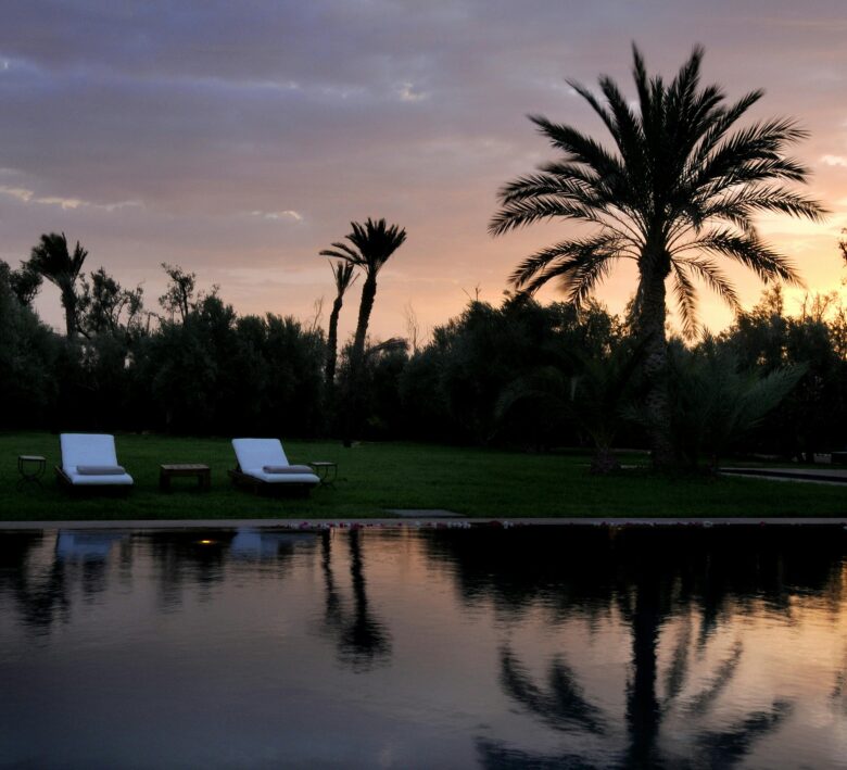 Luxurious oasis landscape in Marrakech Palmeraie with abundant palm trees, symbolizing a tranquil Moroccan escape and serene natural retreat.