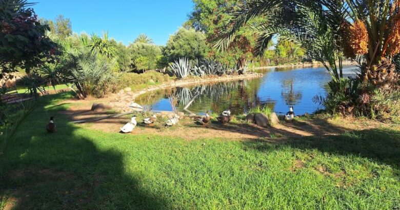 cadre naturel Maroc hôtel