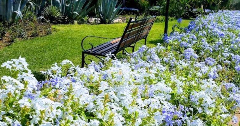 week-end bien-être Marrakech