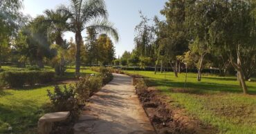 club all inclusive Palmeraie Marrakech hiver