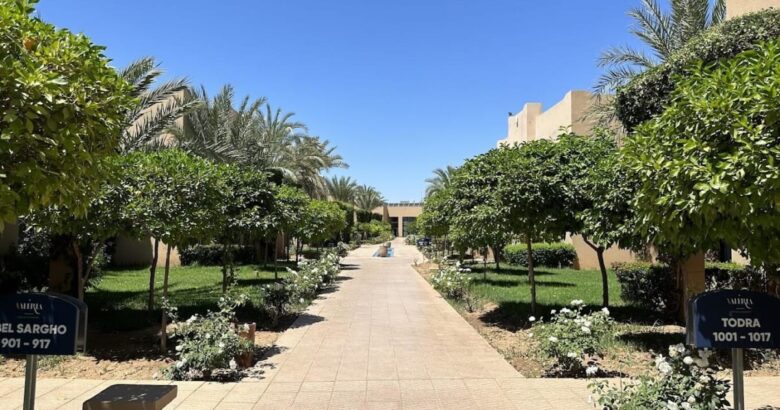 hôtel 4 étoiles Palmeraie Marrakech en hiver