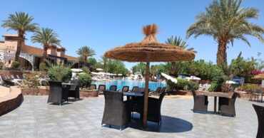 retraite active hiver Palmeraie