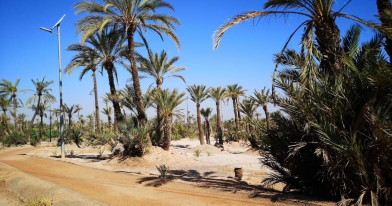 february half term all inclusive Marrakech Dar Atlas