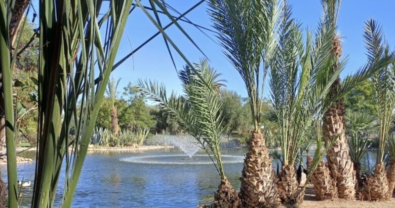 slow travel février Marrakech Valeria Dar Atlas