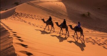 balade chameau Palmeraie Marrakech