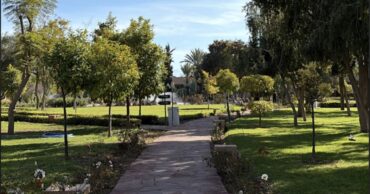 que faire Palmeraie Marrakech mars