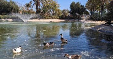 resort all inclusive Palmeraie Marrakech mars