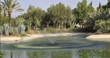 voyage Ramadan Marrakech Palmeraie
