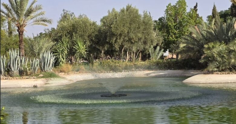 voyage Ramadan Marrakech Palmeraie