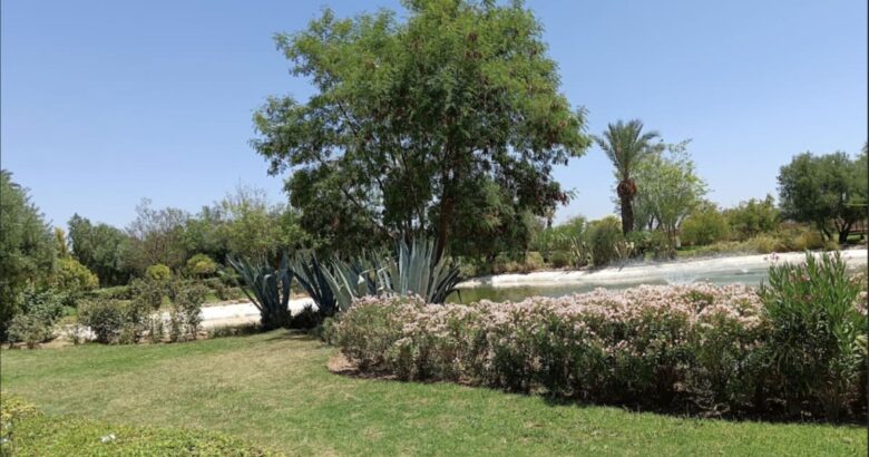 week-end Palmeraie Marrakech mars