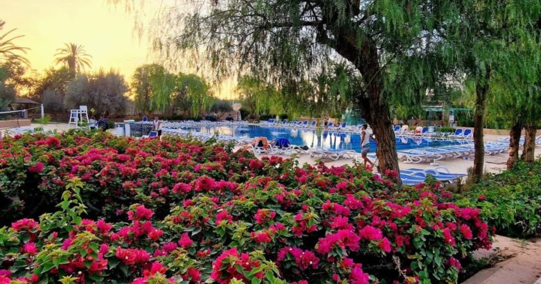 meilleur moment visiter Marrakech été Palmeraie