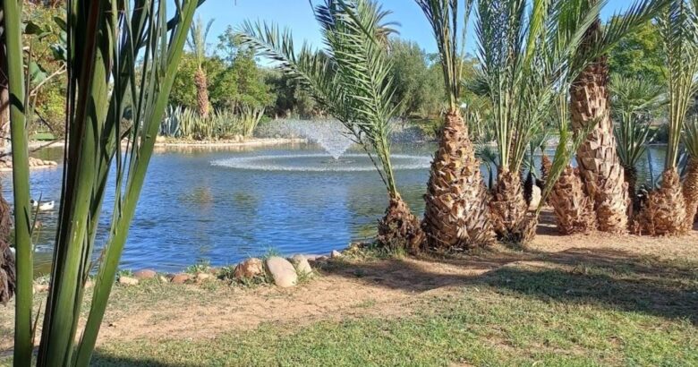 resort all inclusive Palmeraie Marrakech juin