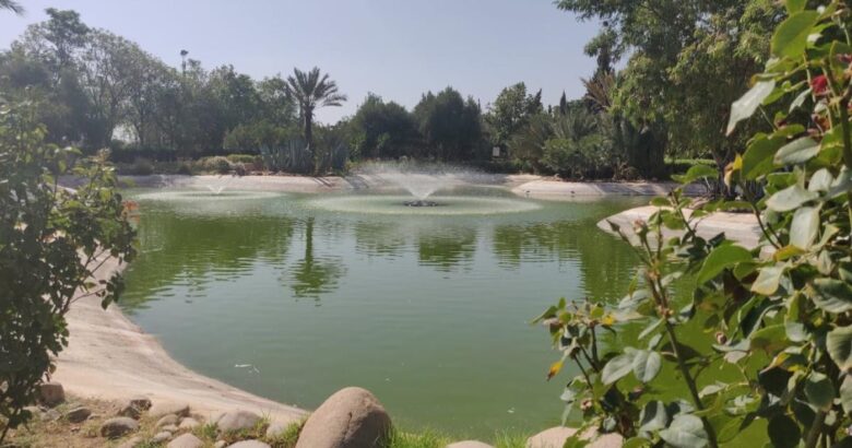 séjour tout compris Palmeraie Marrakech famille