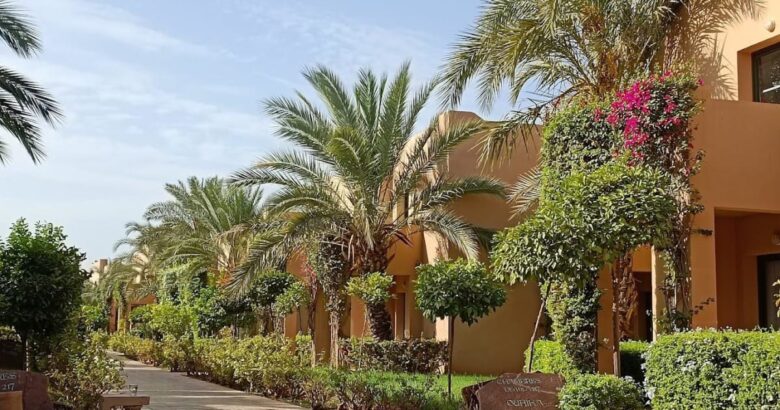 visiter Marrakech sous la chaleur depuis Palmeraie